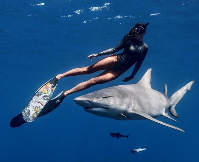 A powerful image of a woman diving with a scary looking shark in the open ocean in the Florida Keys.